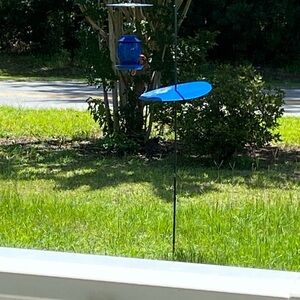 Blue Bird Feeder with Squirrel Baffle